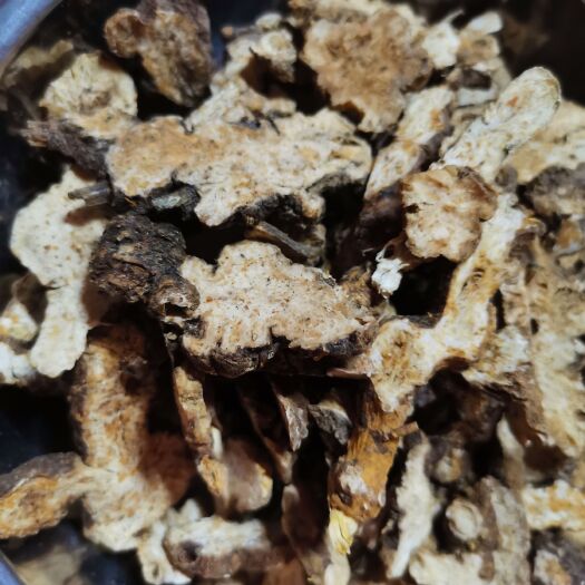 玉林苍术中药材