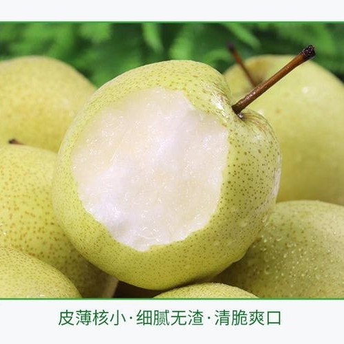 福建省上杭县九洲蜜雪梨