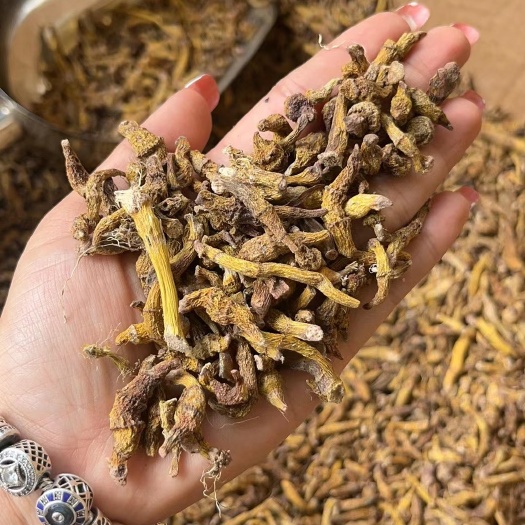 广州虎牙石斛，东南亚一手货源，价格优势，质量好，量大价优