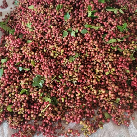 兴义市鲜花椒，干花椒