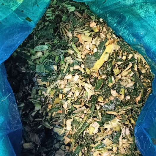 通海县甜脆玉米秆青贮打包