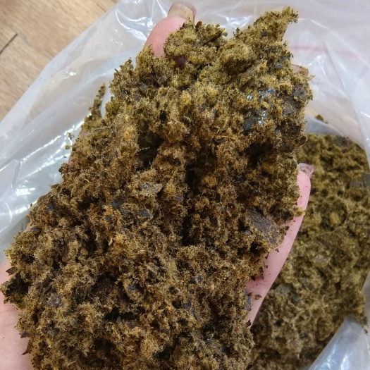 石家庄棉籽饼