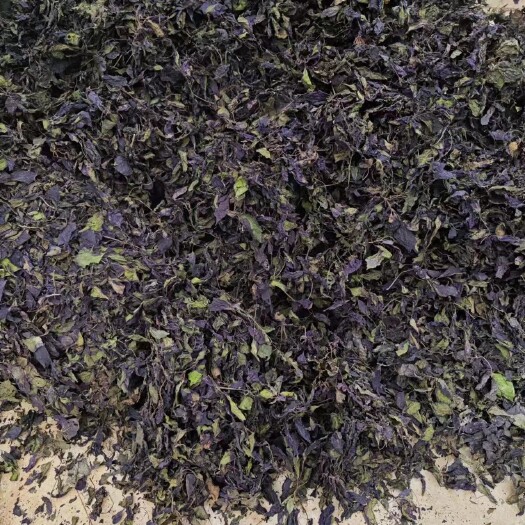 芦溪县干货紫苏叶出炉了！颜色漂亮