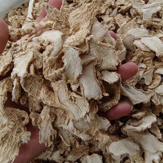 玉林干姜片，国产姜，可打粉  无硫姜辣味足，（批发价）
