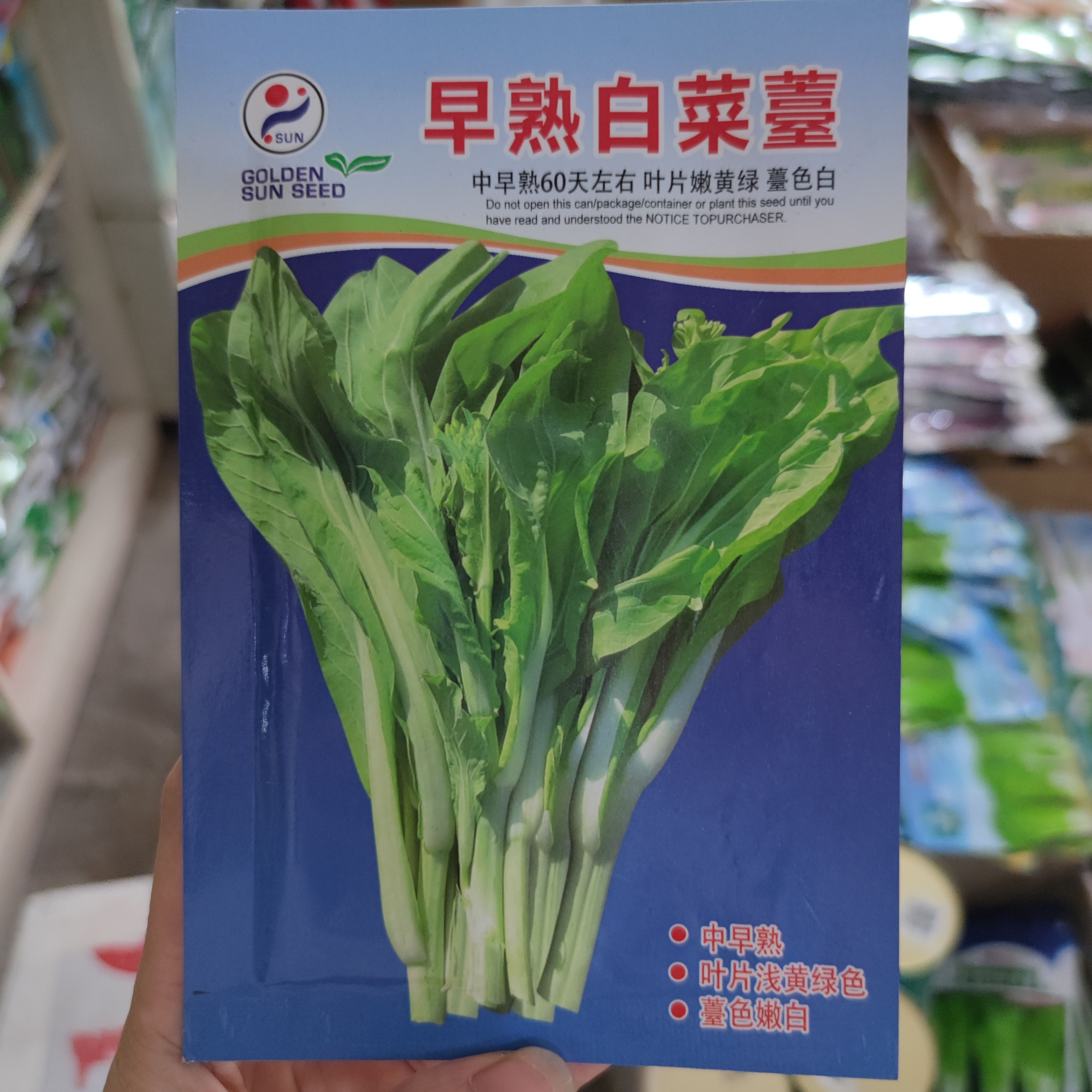 武汉金阳红早熟白菜苔种子 60天上市 叶片黄绿 口感甜脆适应性广