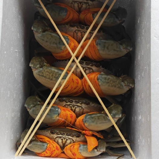 三门县青蟹