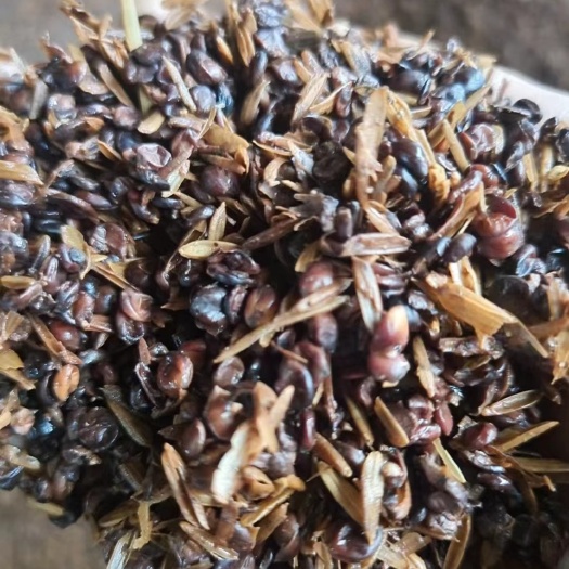 娄底高梁渣木薯渣啤酒糟白酒糟长期供应，厂价直销