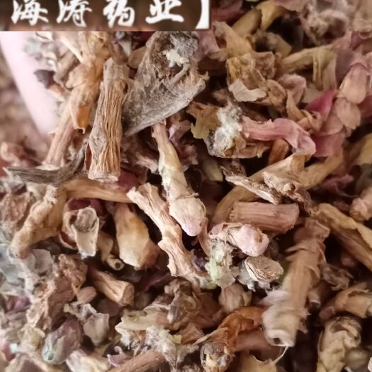 鄄城县【款冬花】产地甘肃实物拍摄一手货源大货供应规格齐全量大优惠。