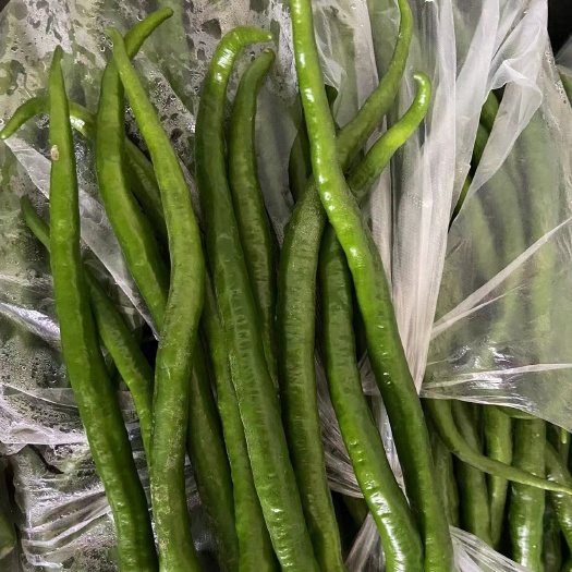 夏邑县辣椒