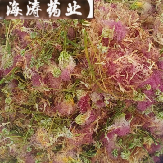 【合欢花】产地山东一手货源大货供应规格齐全量大优惠。