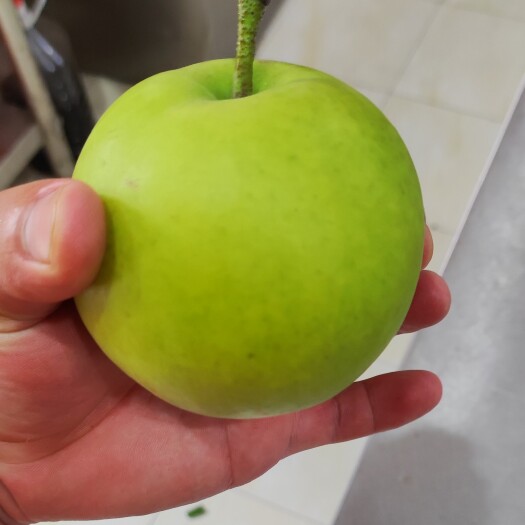 潜江市翠玉梨翠冠梨