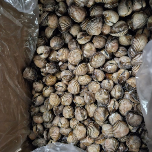 成都红螺肉