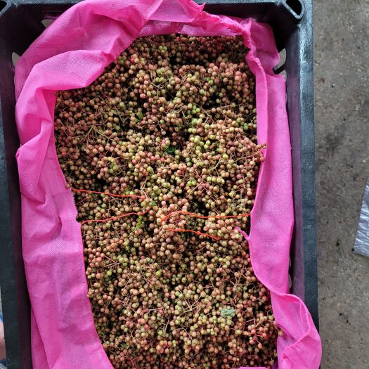靖州县新鲜花椒，陕西大红袍花椒。