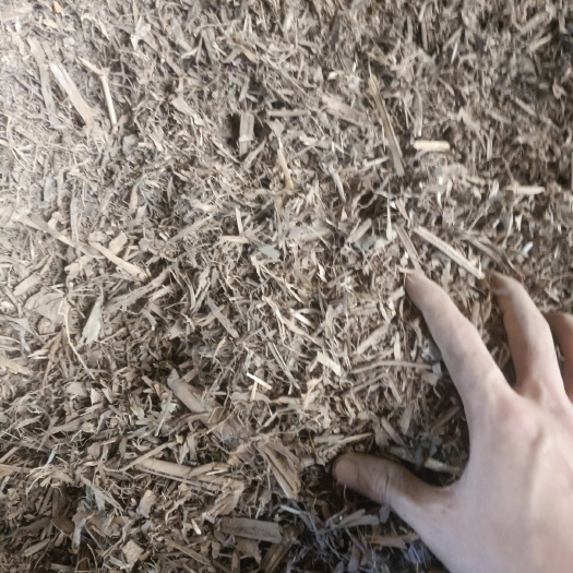 建瓯市大量现货玉米秸秆灰