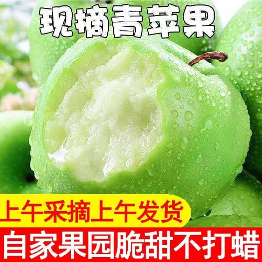 临猗县【批发价】现摘青苹果水果新鲜脆甜酸苹果应季批发一整箱孕妇平果