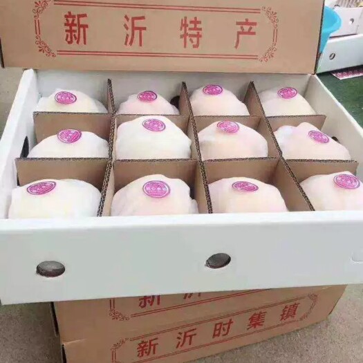 新沂市新沂踢球山水蜜桃直营