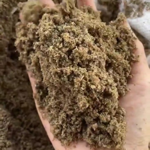 郑州小麦酒糟主原料: 小麦淀粉，玉米碎颗粒