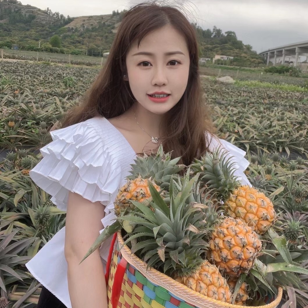 惠来县万亩菠萝基地，欢迎订购，价格便宜，质量保证，可发全国！