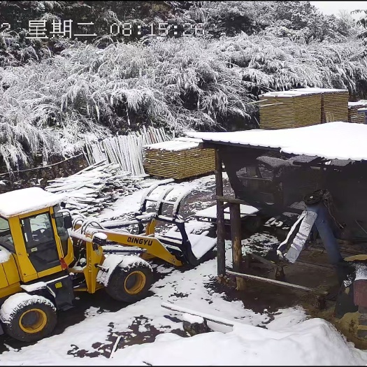 兴义市各规格木方木条  拼板  杉木