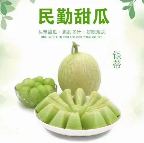 甘肅民勤蜜瓜專業(yè)代辦