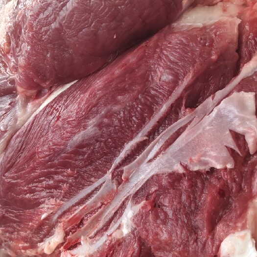 无棣县鲁西黄牛  纯干鲜宰牛肉  质量保证