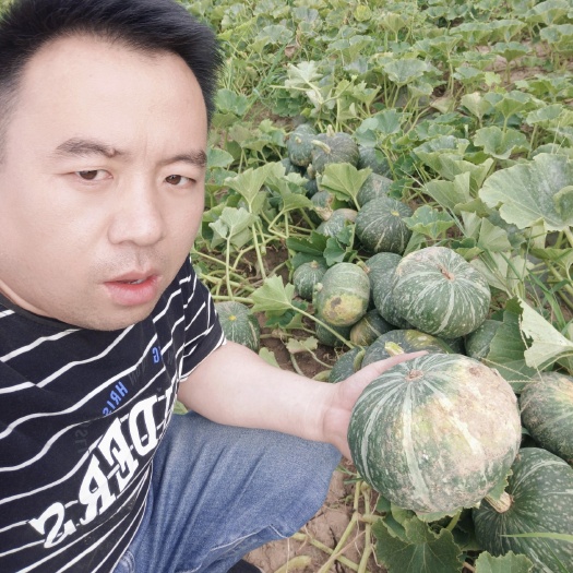 洪洞县贝贝南瓜