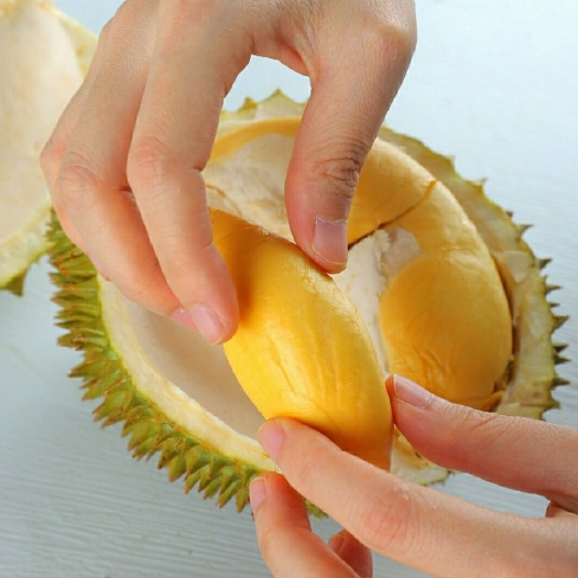 昆明金枕