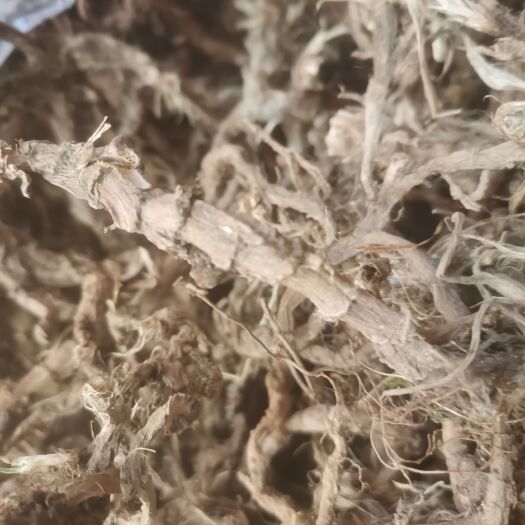 赫章县石菖蒲五公斤价格好商量