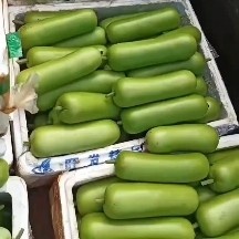 徐闻县广东徐闻蒲瓜，瓠瓜，瓠子，大量上市，欢迎采购