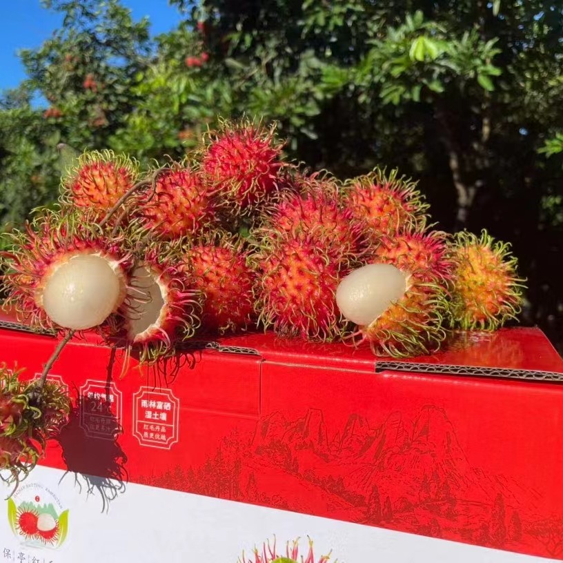 保亭黎族苗族自治县海南红毛丹老少皆宜，海南明星片，中国仅有的特产且不贵。