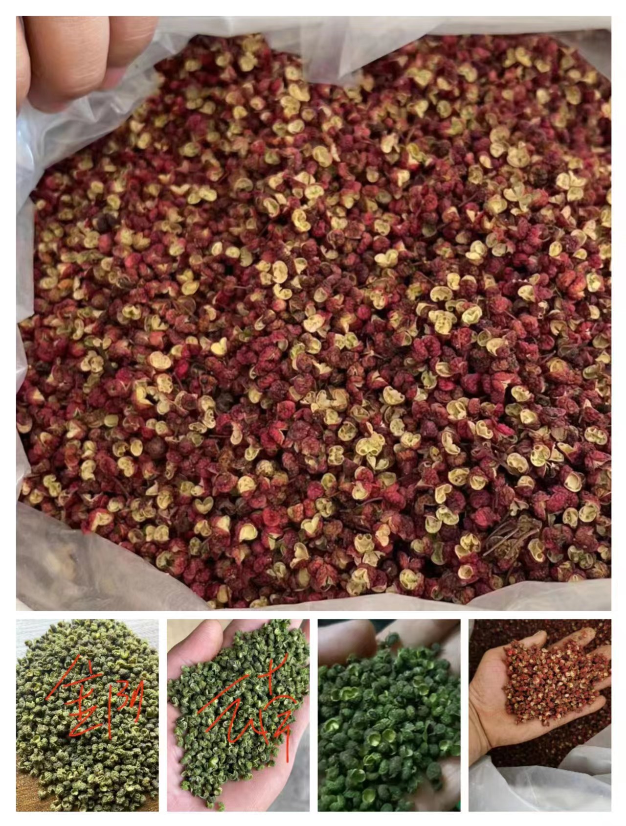 廠家酸菜花椒辣椒等批發(fā)