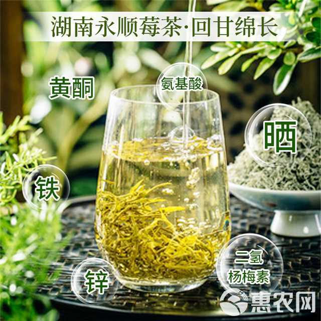 湘西永顺张家界24清明莓茶（藤茶），恩施富硒茶，高山野生莓茶