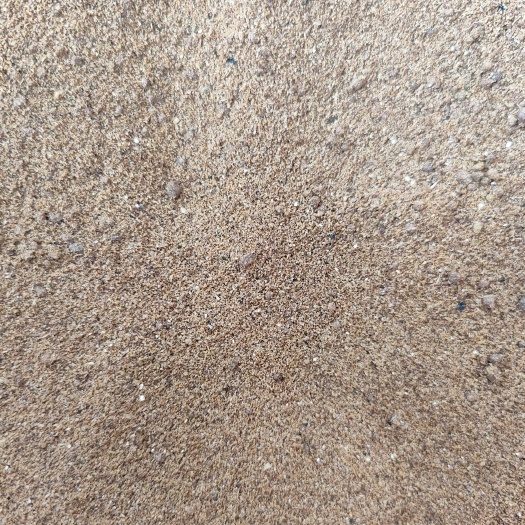 郓城县喷浆豆渣