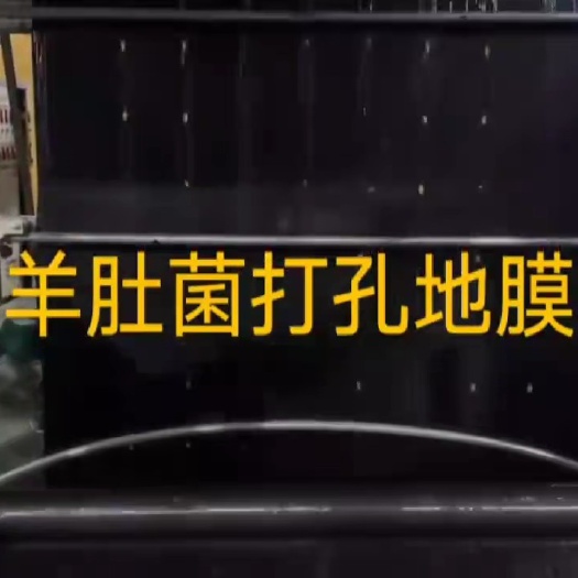青州市羊肚菌种植专用黑色打孔地膜厂家直销