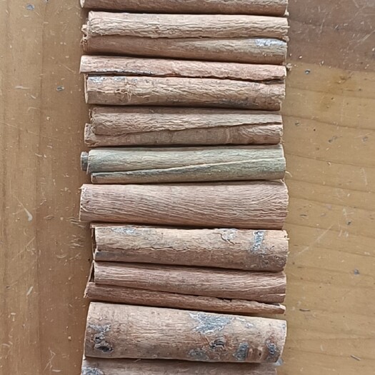 平南县桂通产地一手货源，高山种植绿色环境，纯手工打造
