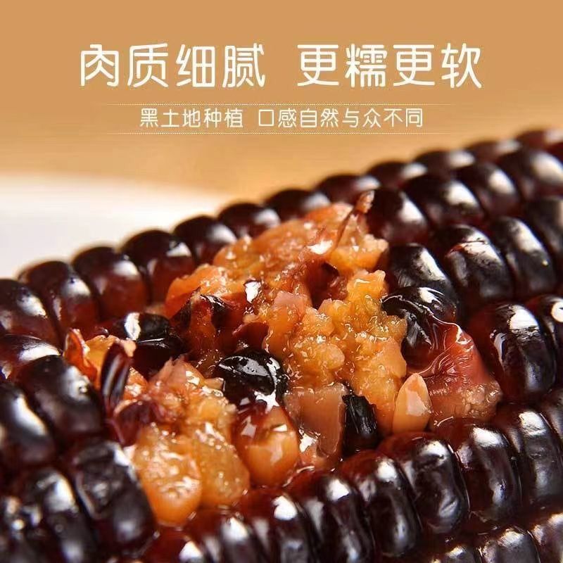 五常市整箱10根黑玉米【甜糯大黑玉米】代餐早餐粗粮甜糯玉米即食宝宝