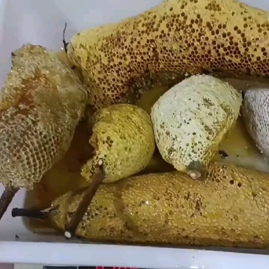 宁洱县蜂巢蜜，小挂蜜