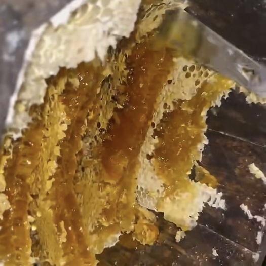 遂昌县自家的土蜂蜜