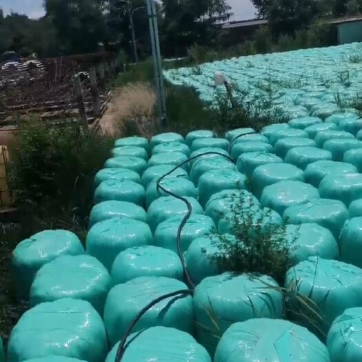 枣强县黄储滴水未加