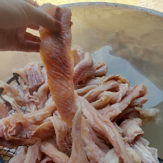 阳信县熟西冷筋出新货！含胶原蛋白多多！