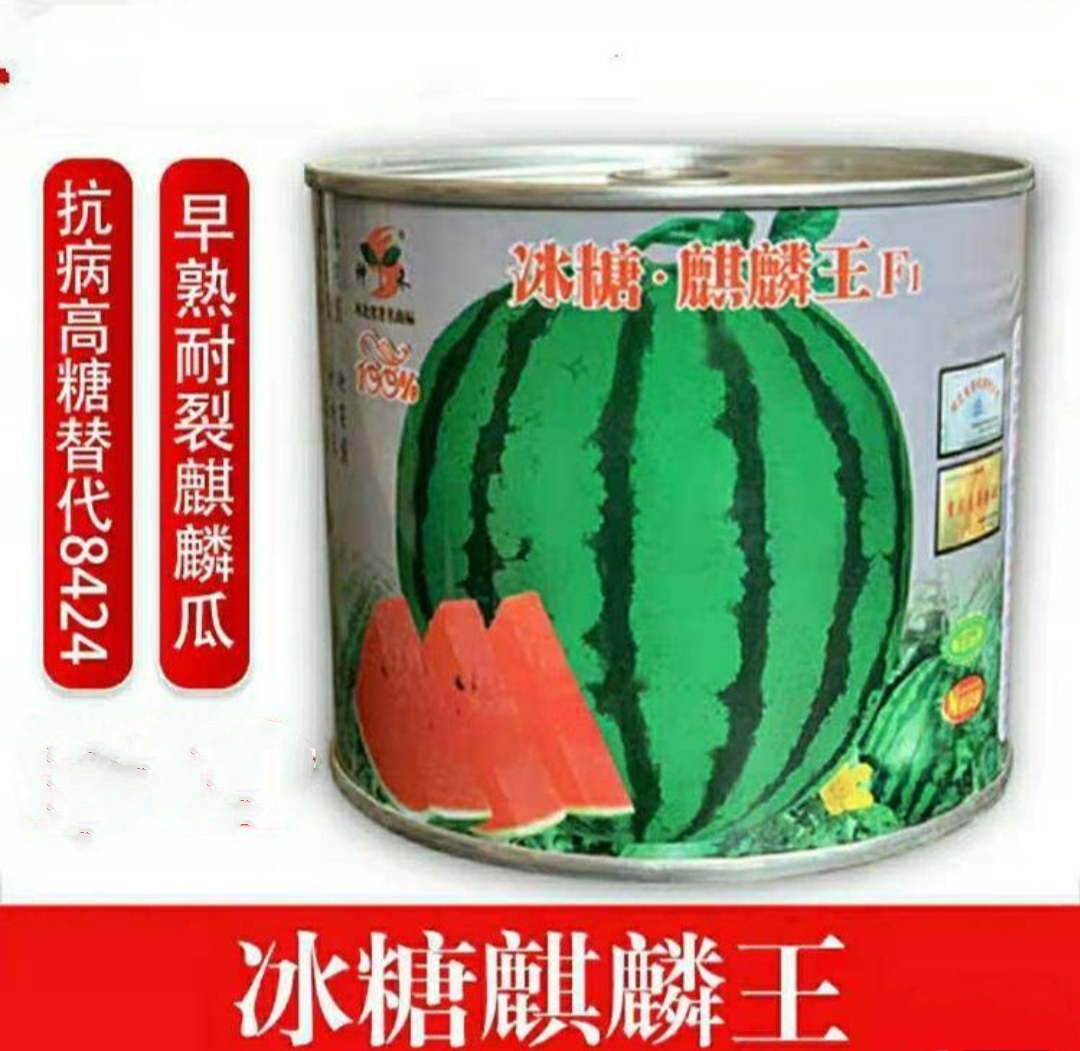 農(nóng)豐源種業(yè)