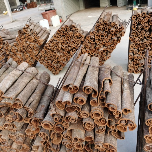 平南县大量供应产地优质桂皮