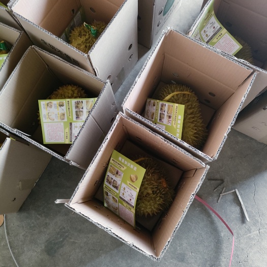 昆明全规格榴莲代，发。各位老板需要随时联系我。售后没问题。