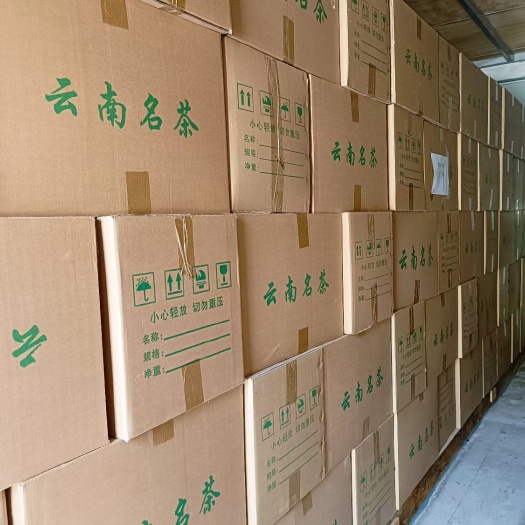 云南省临沧市双江县沙河乡尾怕村古树茶2023年头春茶