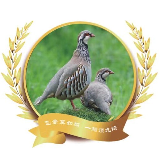 彭州市富硒川芎鹧鸪禽蛋活鸟系列