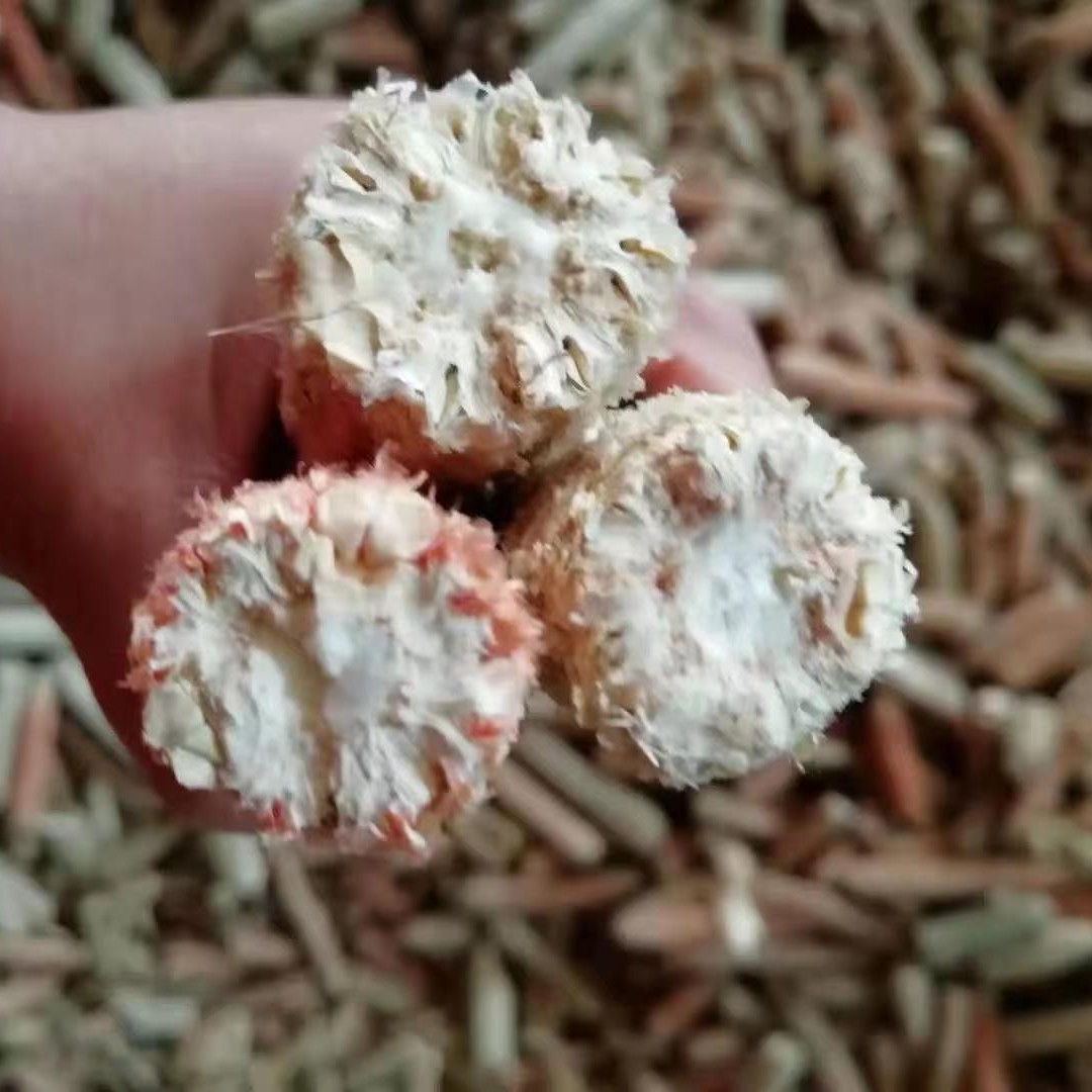 南宁玉米芯