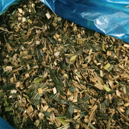 玉米秆青贮袋装料