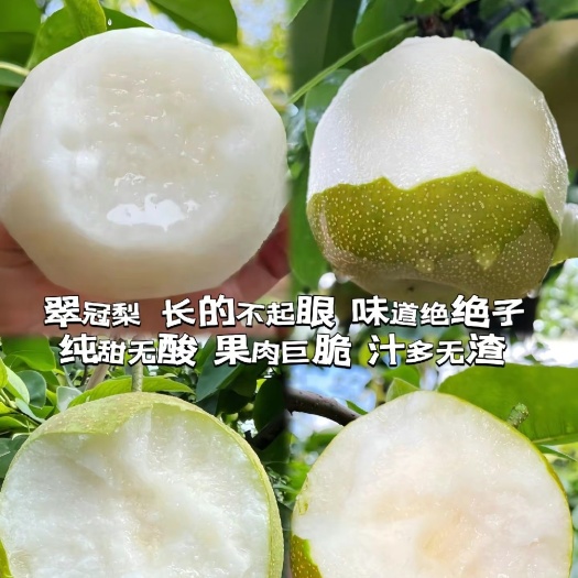 砀山县花翠冠梨，酥脆甜，皮薄汁多，出口品质