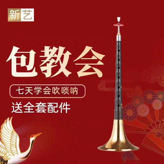 福安市新艺演奏专业乌木唢呐乐器全套d调D调初学者入门小号喇叭哨片配