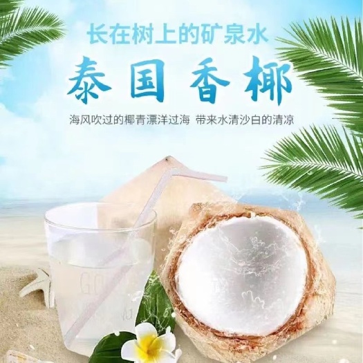 宁波泰国香水椰汁水清甜如甘泉、果肉嫩滑如布丁